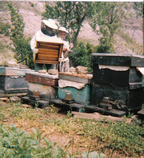 Ahmet Çamurcu und seine Ehefrau bei der Imkerei in Mesudiye um 1970